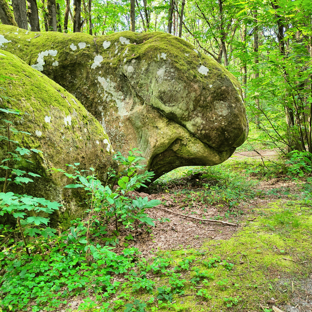 rocher forêt de Fontainetleau bloc pour les grimpeurs