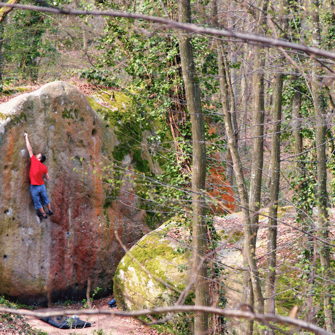 La magnifique forêt de Fontainebleau, idéale pour la randonnée et l'escalade